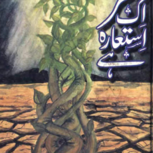 Sehar Aik Istara Hai by Umaira Ahmed